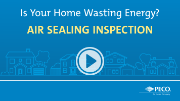 Video Air Sealing Inspection